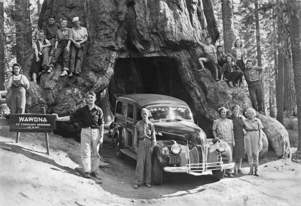 Wawona Pontiac Woodie 1940 Lg