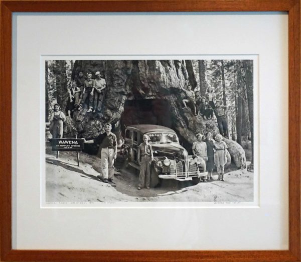 Wawona Framed